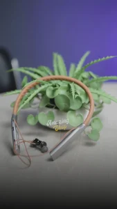 selfeb-screenshot-regersi-amazing-shop-1762631424586-1762631733732